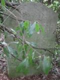 image of grave number 225632